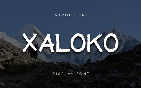 Why Xaloko Is the Bold Choice for Designs That Need to Be Seen